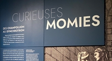 curieuses momies fiche